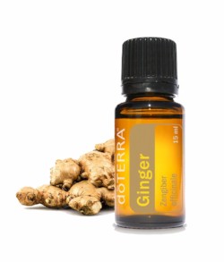 On the spotlight this week is DoTerra’s Ginger Essential Oil.